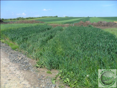 Działka rolna Kraków