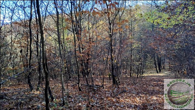 Działka rolna Sąspów