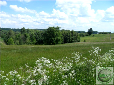 Działka rolna Łazy