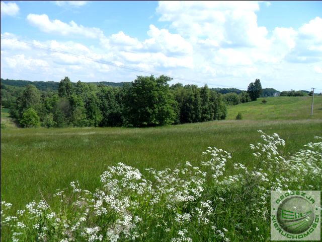 Działka rolna Łazy