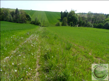 Działka budowlano-rolna Władysław