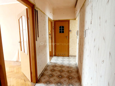 Mieszkanie Oleśnica