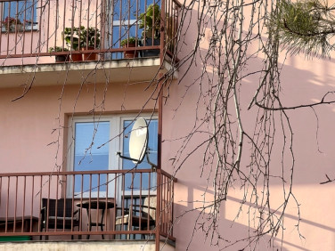 Mieszkanie Grodzisk Mazowiecki