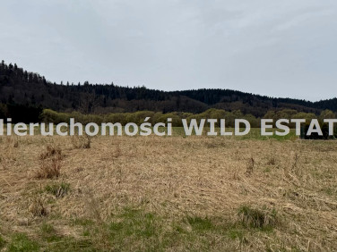 Działka budowlana Huzele