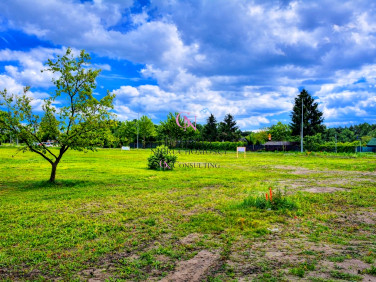 Działka usługowa Toruń