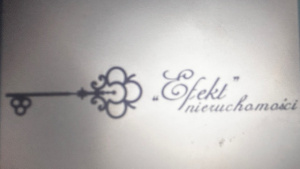 EFEKT NIERUCHOMOŚCI