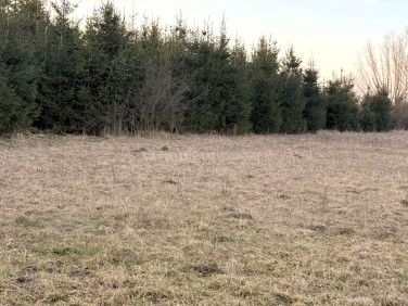 Działka budowlano-rolna Koszajec