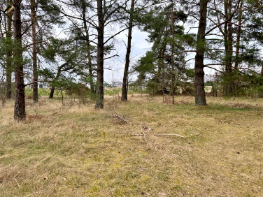 Działka Biały Bór