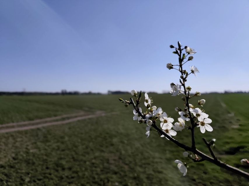 Działka rolna Jerzykowo sprzedam