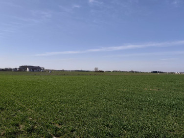 Działka rolna sprzedam