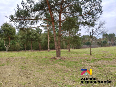 Działka budowlana Radomia