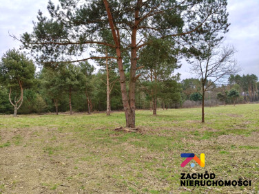 Działka budowlana Radomia