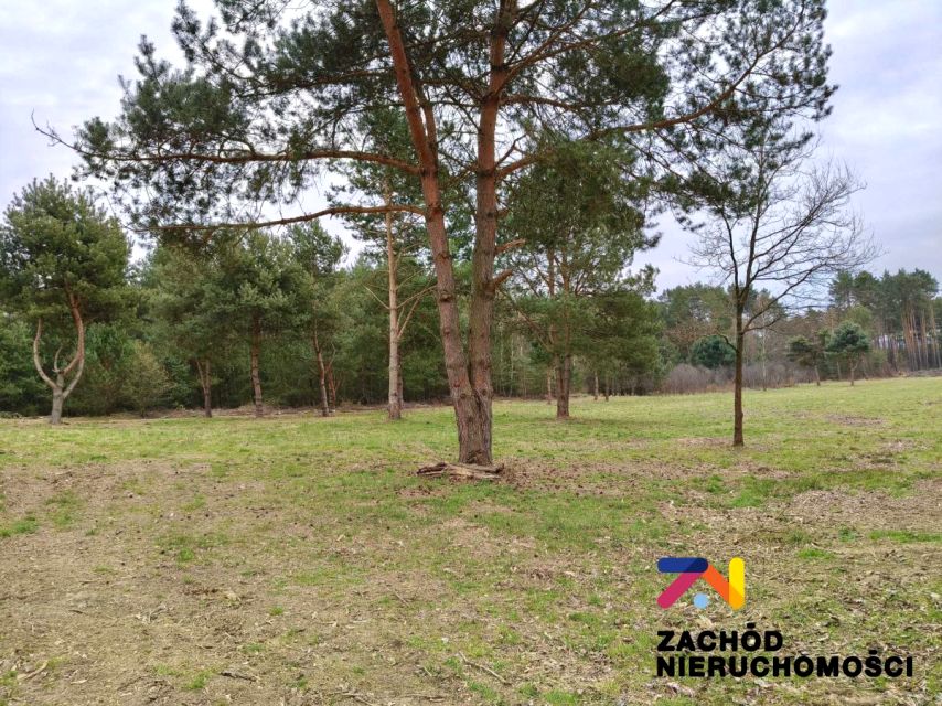 Działka budowlana Radomia