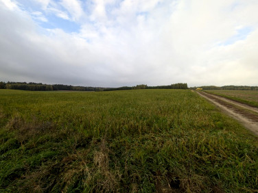 Działka rolna Turza Wielka