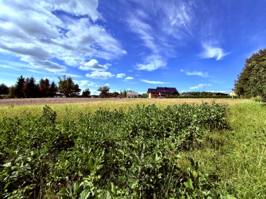 Działka Zalas