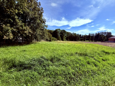 Działka Zalas