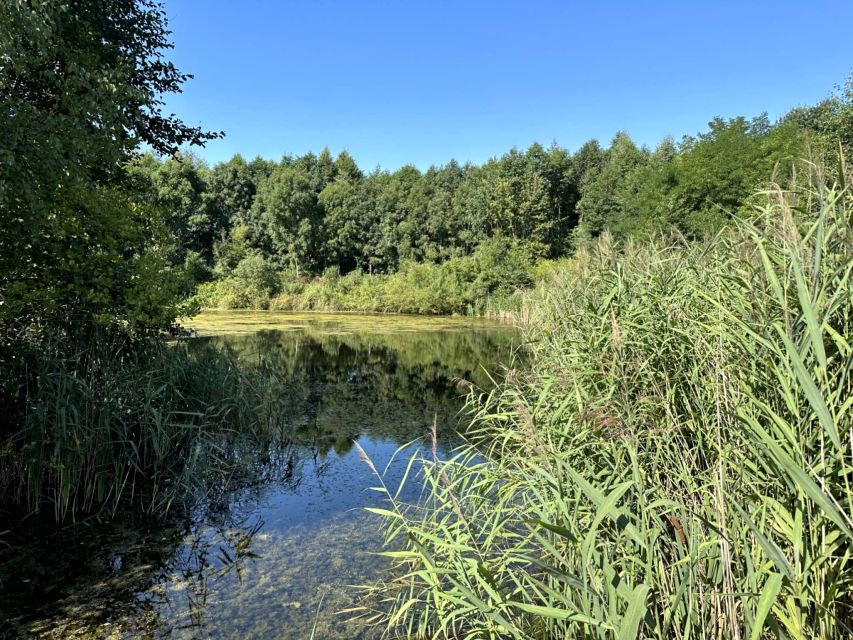 Działka Wiktorów