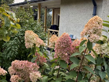 Działka rekreacyjna Wasilków