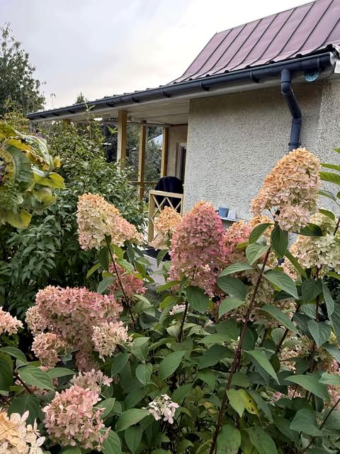 Działka rekreacyjna Wasilków