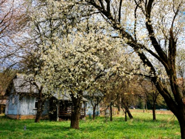 Dom Grabownica Starzeńska