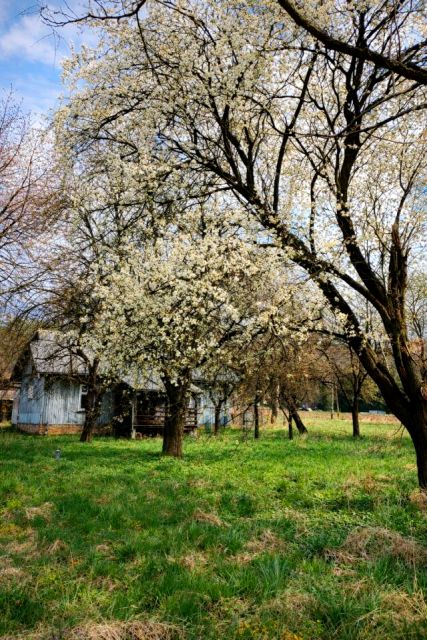 Dom Grabownica Starzeńska