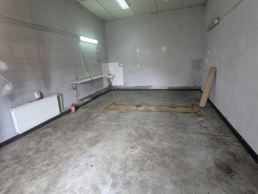 Lokal Katowice wynajem