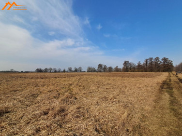 Działka rolna sprzedam