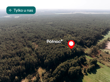 Działka przy lesie