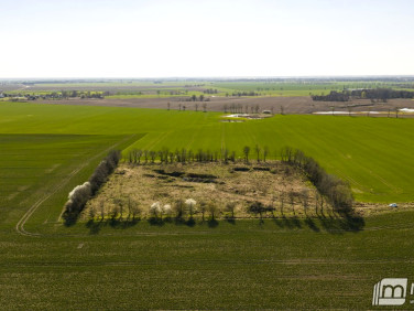 Działka budowlana Witkowo Pierwsze sprzedam