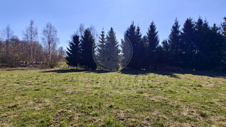 Zdjęcie 3