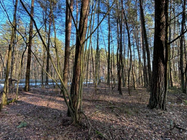 Działka rolna Malinniki