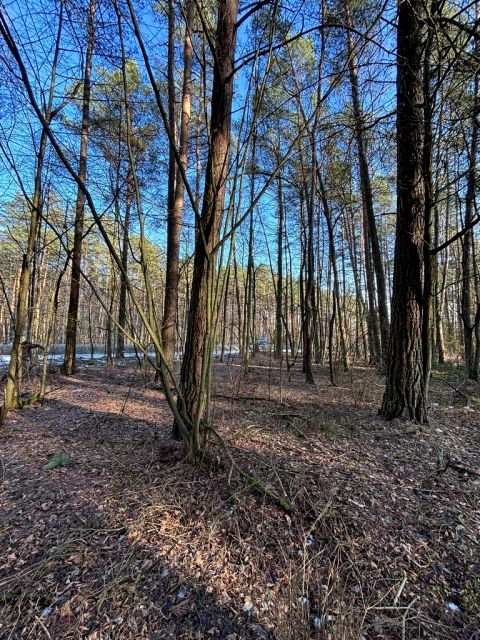 Działka rolna Malinniki