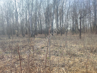 Działka budowlana Milanówek