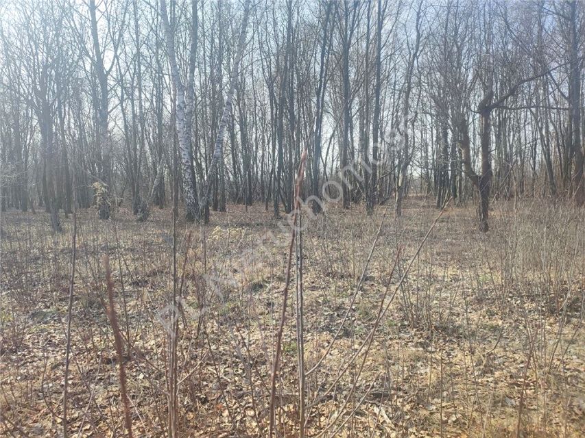 Działka budowlana Milanówek