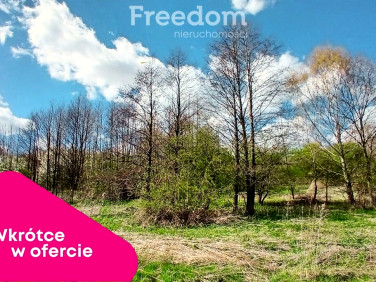 Działka rolna Góra Ropczycka