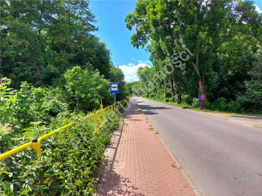 Działka usługowa Jadów