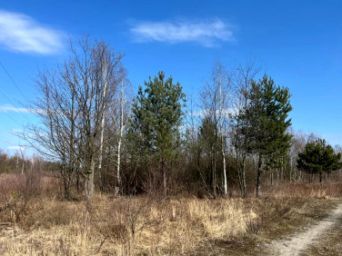 Działka budowlana Otwock Mały