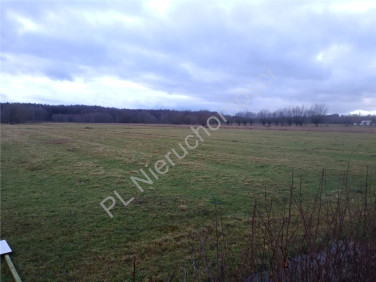 Działka budowlana Choiny