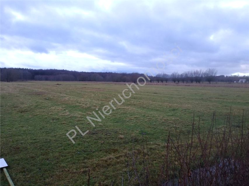 Działka budowlana Choiny