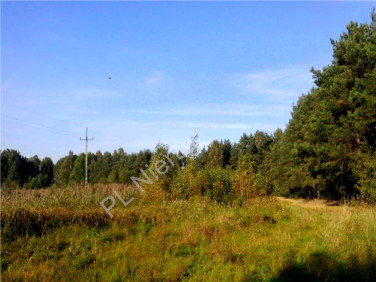 Działka rekreacyjna Ostrówek sprzedam