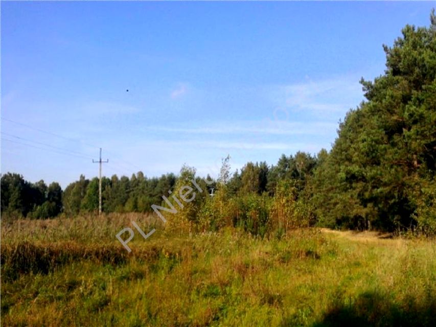 Działka rekreacyjna Ostrówek sprzedam