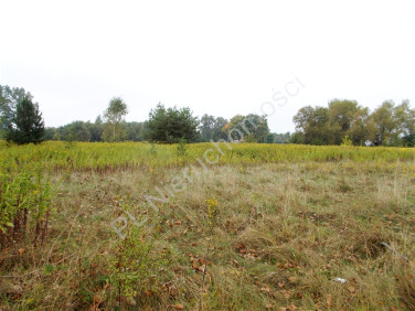 Działka budowlana Poświętne