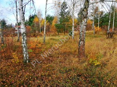 Działka rekreacyjna Nowe Załubice