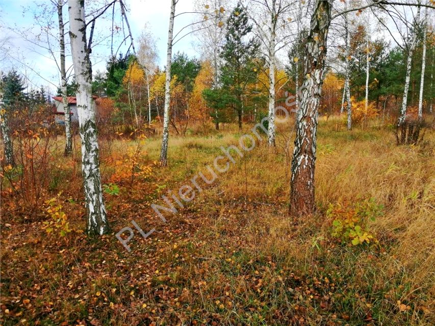 Działka rekreacyjna Nowe Załubice