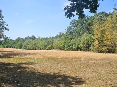 Działka inwestycyjna Józefów