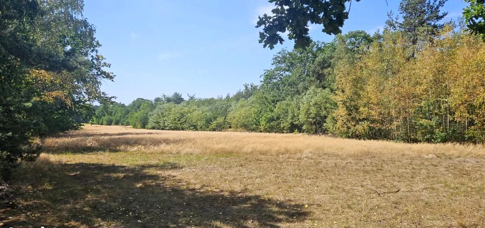 Działka inwestycyjna Józefów