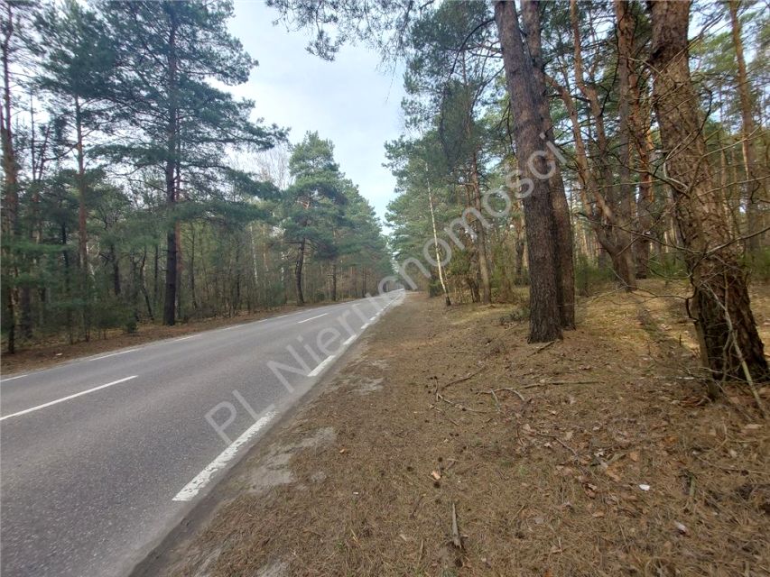 Działka leśna Radzymin