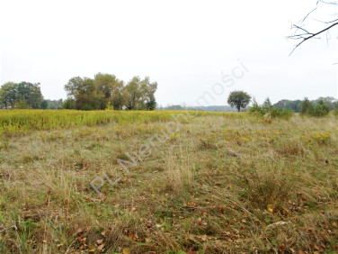 Działka budowlana Poświętne