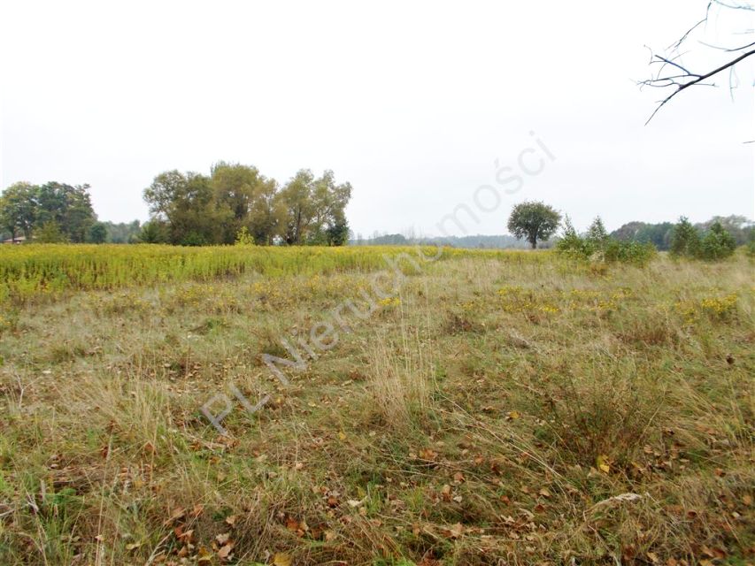 Działka budowlana Poświętne