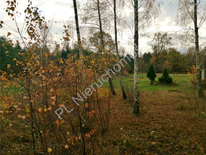 Działka Nowe Załubice